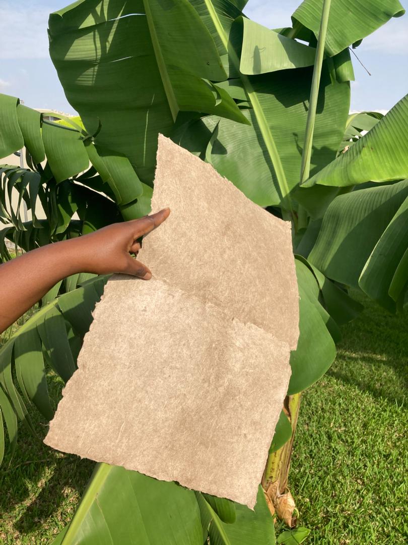 Handheld NaturePacks material sheet made from banana stem fibre