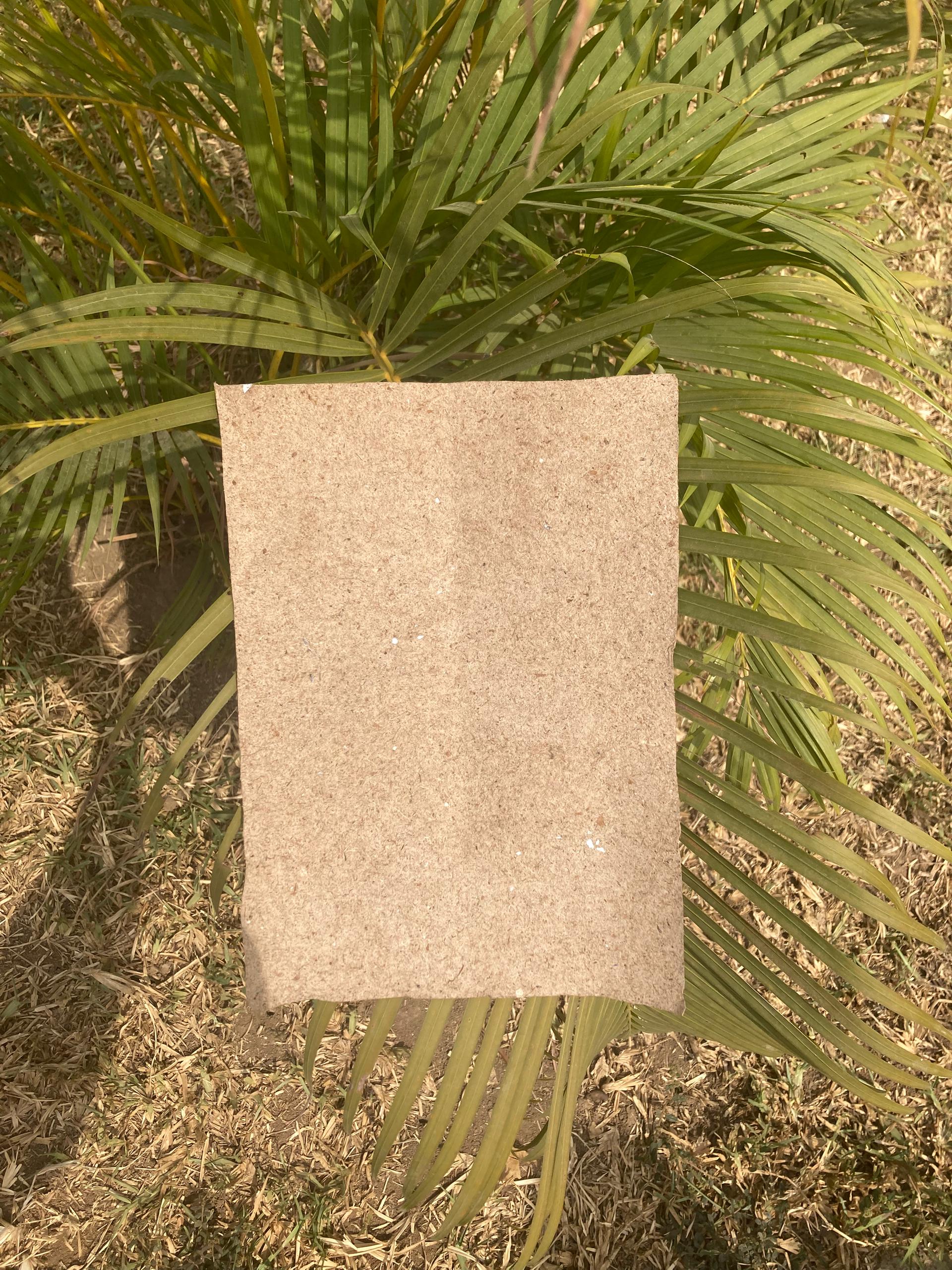 Real NaturePacks test paper sheet produced in the field