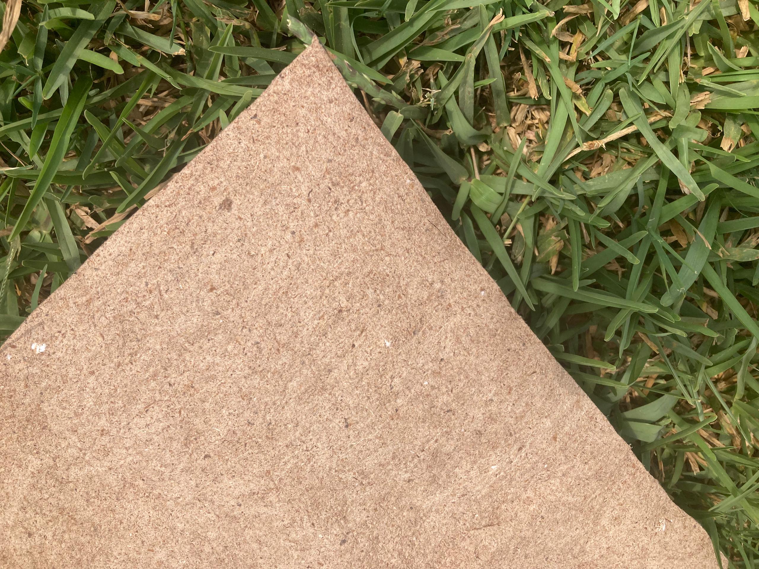 NaturePacks real test paper sheet showing natural fiber texture